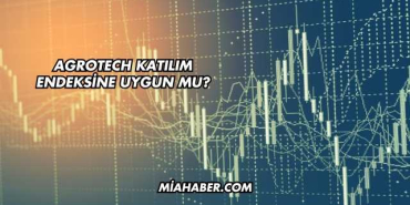 Agrotech Katılım Endeksine Uygun mu?