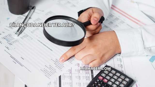Bilançoda Neler Yer Alır?