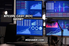 Bitcoin Cash (BCH) Nedir?