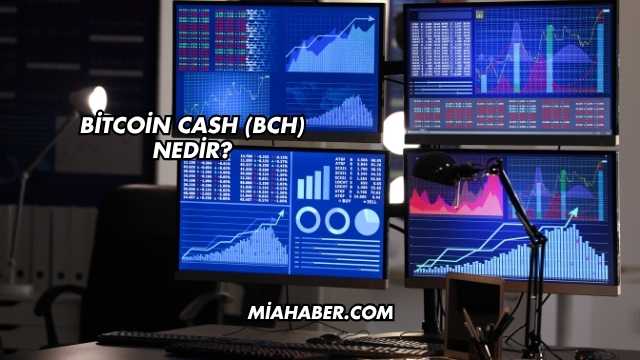 Bitcoin Cash (BCH) Nedir?