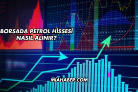 Borsada Petrol Hissesi Nasıl Alınır?