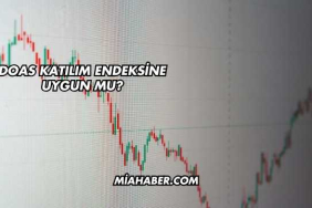 DOAS Katılım Endeksine Uygun mu?
