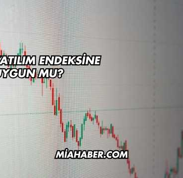 DOAS Katılım Endeksine Uygun mu?