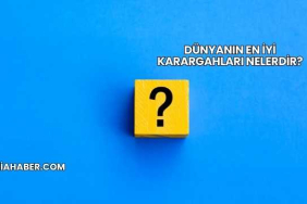 Dünyanın En İyi Karargahları Nelerdir?