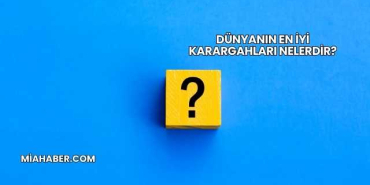 Dünyanın En İyi Karargahları Nelerdir?