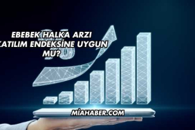 Ebebek Halka Arzı Katılım Endeksine Uygun mu?