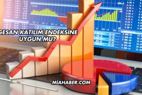 GESAN Katılım Endeksine Uygun mu?