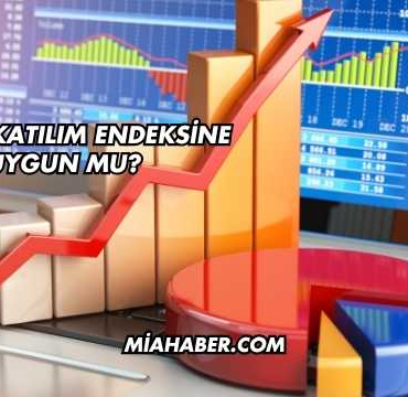 GESAN Katılım Endeksine Uygun mu?