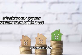 Gürcistan'da Nelere Yatırım Yapılabilir 2025