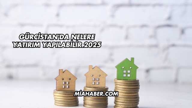 Gürcistan'da Nelere Yatırım Yapılabilir 2025