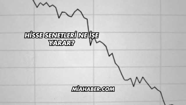 Hisse Senetleri Ne İşe Yarar?