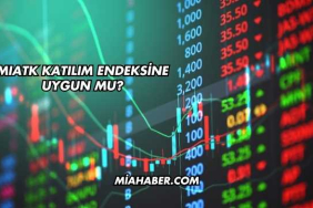 MIATK Katılım Endeksine Uygun mu?