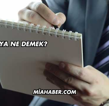 Medya Ne Demek?