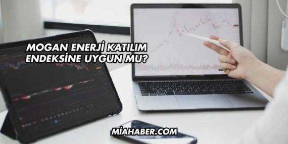 Mogan Enerji Katılım Endeksine Uygun mu?