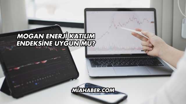 Mogan Enerji Katılım Endeksine Uygun mu?
