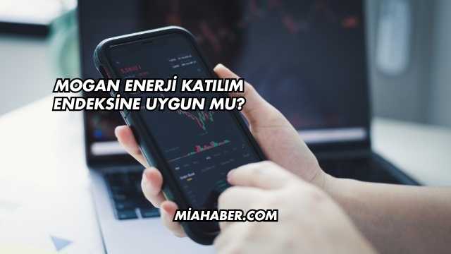 Mogan Enerji Katılım Endeksine Uygun mu?