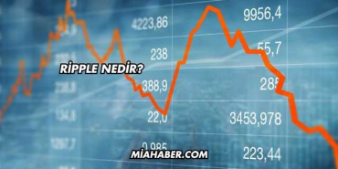 Ripple Nedir?