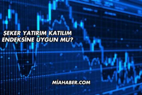 Şeker Yatırım Katılım Endeksine Uygun mu?