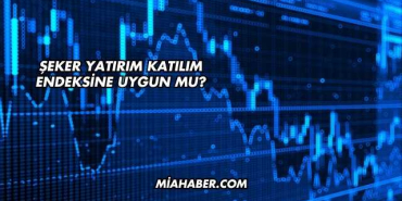 Şeker Yatırım Katılım Endeksine Uygun mu?