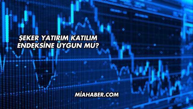 Şeker Yatırım Katılım Endeksine Uygun mu?