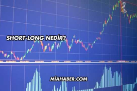 Short-Long Nedir?