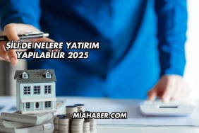 Şili'de Nelere Yatırım Yapılabilir 2025