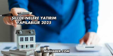 Şili'de Nelere Yatırım Yapılabilir 2025
