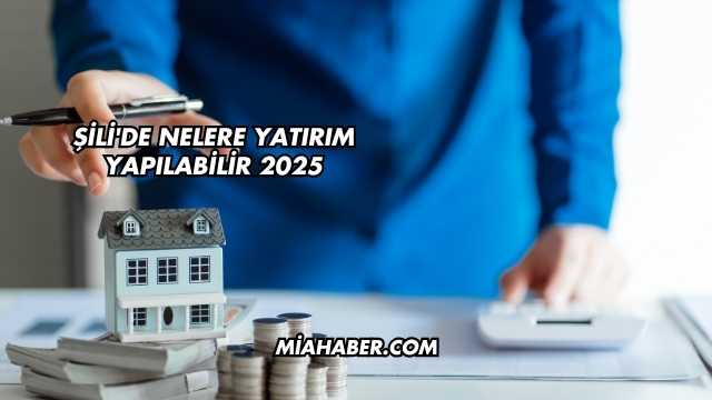 Şili'de Nelere Yatırım Yapılabilir 2025