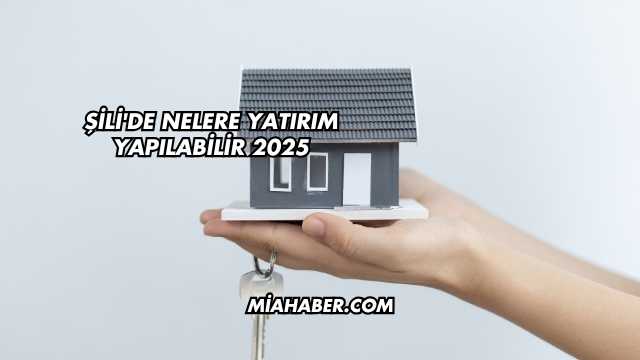 Şili'de Nelere Yatırım Yapılabilir 2025