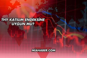 THY Katılım Endeksine Uygun mu?