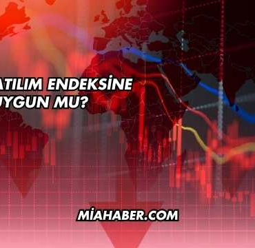 THY Katılım Endeksine Uygun mu?