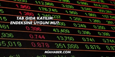 Tab Gıda Katılım Endeksine Uygun mu?