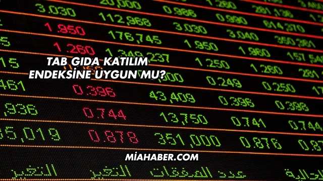Tab Gıda Katılım Endeksine Uygun mu?
