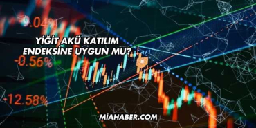 Yiğit Akü Katılım Endeksine Uygun mu?