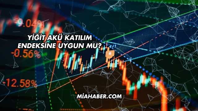 Yiğit Akü Katılım Endeksine Uygun mu?