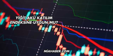 Yiğit Akü Katılım Endeksine Uygun mu?