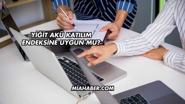 Yiğit Akü Katılım Endeksine Uygun mu?